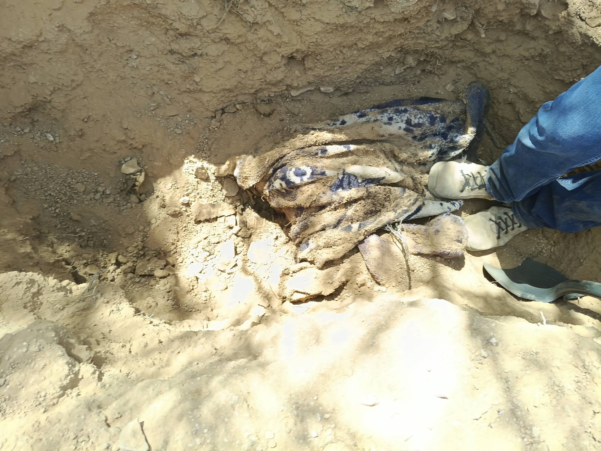 El colectivo Buscando a Jonás informó que algunos elementos se encontraban sobre la superficie. (Crédito: facebook | Buscando a Jonás)