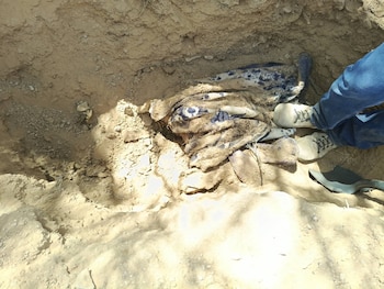 El colectivo Buscando a Jonás informó que algunos elementos se encontraban sobre la superficie. (Crédito: facebook | Buscando a Jonás)