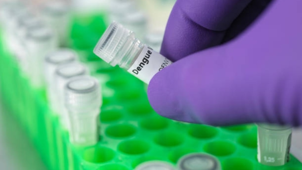 2C63D6MOHNBVHFRFBQNHTTKTJY