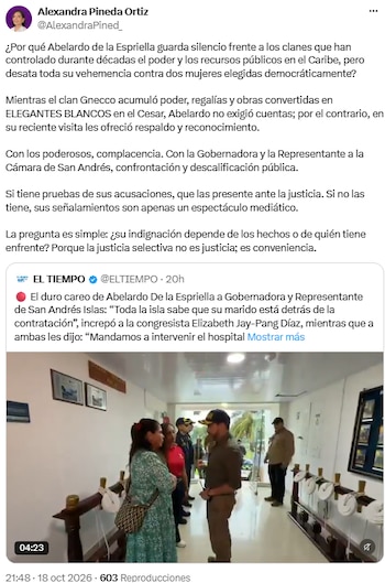 Alexandra Pineda pidió que las acusaciones lleguen a la justicia - crédito @AlexandraPined_/X
