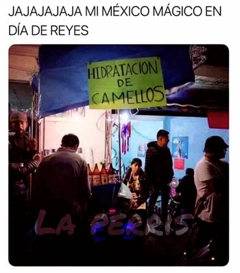 El ingenio mexicano no tiene