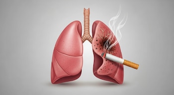 Ilustración realista de un par de pulmones sobre fondo gris claro. El pulmón izquierdo es rosado y sano, mientras el derecho es oscuro y muestra daño por un cigarrillo encendido con humo.