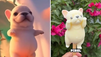 Perrito Pibble se convierte en paleta y usuarios corren por ella a comprarla en la CDMX: esto es lo que cuesta