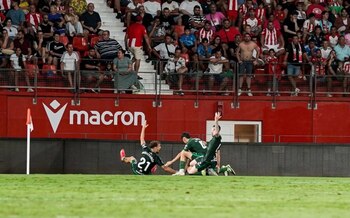 Imagen 2CODIZPZSZEBRA6VDQSP46CEE4