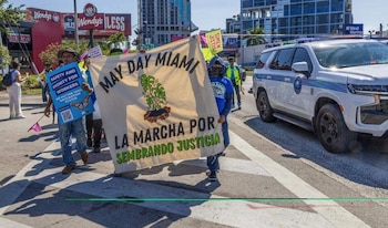Casi el 90% de los empleados de viveros en Miami-Dade reportó lesiones o enfermedades laborales, según una reciente encuesta de WeCount (Captura El Nuevo Herald)