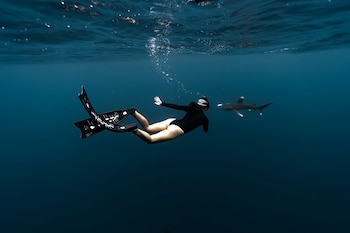 Paola Cañas bucea cerca de un tiburón oceánico de puntas blancas. (Cedida)
