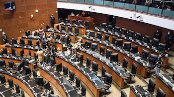 Morena en el Senado abrió