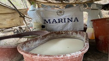 Suman 97 laboratorios asegurados en