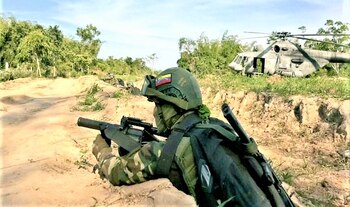 Los grupos guerrilleros y los