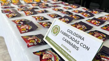 Los alucinógenos iban a ser