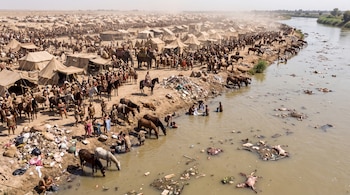 Un campamento con tiendas junto a un río turbio con residuos, personas lavando ropa, caballos bebiendo agua y soldados congregados.