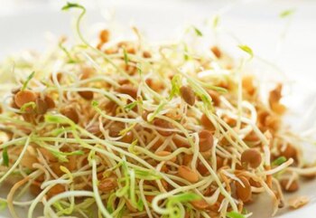 Con esta receta tendrás diferentes