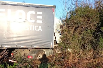 Un camión de carga de color gris y blanco atascado entre matorrales secos a un lado de la vía
