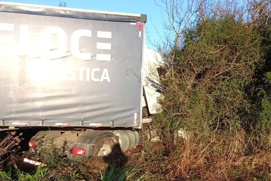 Producto de la maniobra del choque el camión terminó incrustado en un pastizal sobre la banquina (Policía Entre Ríos)