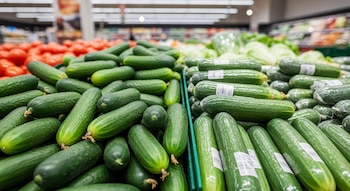 Gran cantidad de pepinos verdes, algunos sin envolver y otros con plástico y etiquetas de código de barras, expuestos en estantes de un supermercado.