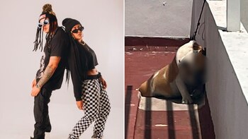 La Factoría respondió a acusaciones