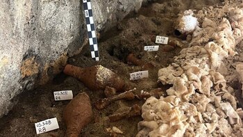 El Ministerio de Cultura de