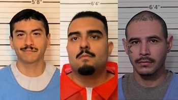 Tres fotografías de ficha policial de tres hombres sobre un fondo numerado con escala de altura
