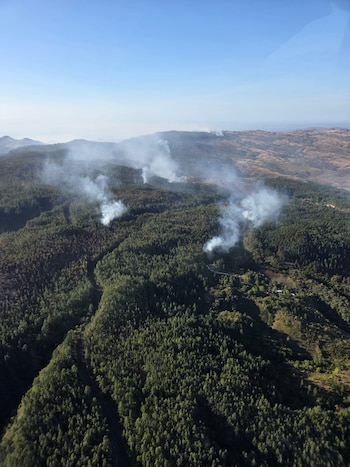 Las autoridades iniciaron las labores