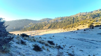 La ola ártica provoca descenso