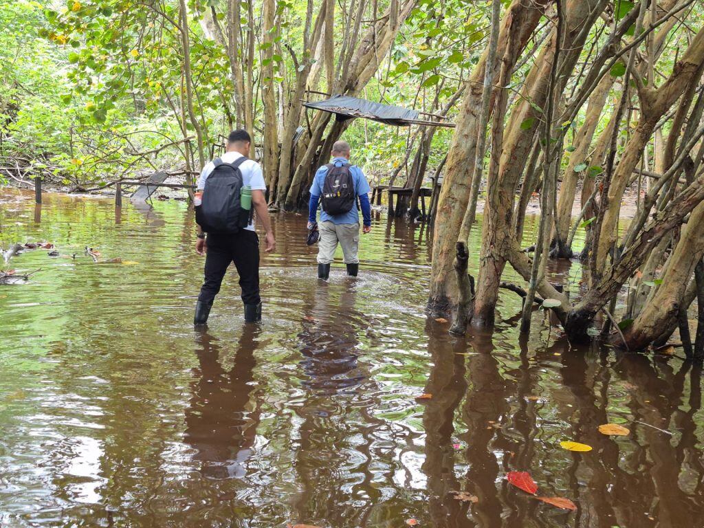 Varias regiones de Colombia permanecen en alerta por lluvias intensas, deslizamientos e inundaciones, mientras las autoridades monitorean las zonas críticas - crédito Parques Nacionales y Naturales de Colombia