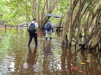 El sendero Kogui presenta daños