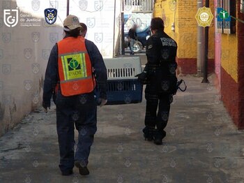 (Foto: Tw/@FiscaliaCDMX)