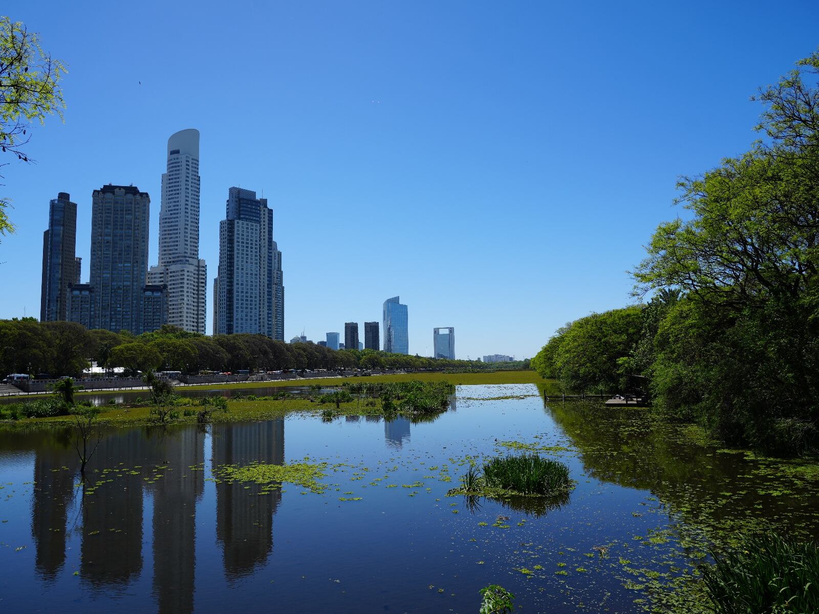 El gobierno de la Ciudad de Buenos Aires celebrará el 40° aniversario de la Reserva Ecológica Costanera Sur con nuevas obras de infraestructura, accesibilidad y educación ambiental