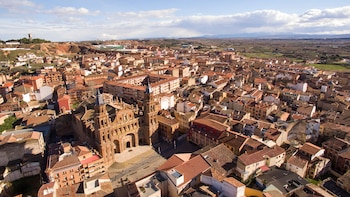 La ciudad de Alfaro destaca en el paisaje por sus tejados y su entorno natural junto al río Ebro.