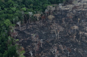 Foto de archivo aérea de