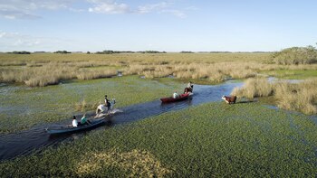 Esteros del Iberá-InHouse NO APTA USO EDITORIAL
