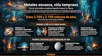 Infografía horizontal que muestra un océano arcaico con volcanes, respiraderos hidrotermales activos y microorganismos luminosos, destacando el uso de molibdeno y tungsteno en la vida temprana y su importancia para la astrobiología.