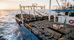 Milla 200 bajo presión: alertan que flotas extranjeras ya capturan hasta cuatro veces más que toda la pesca argentina