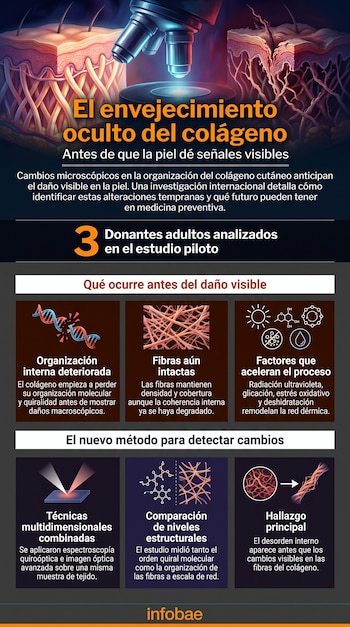 Infografía con ilustraciones de capas de piel, un microscopio, hebras de ADN, fibras de colágeno y símbolos de factores externos.