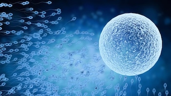 ¿Podrían los tratamientos de fertilidad