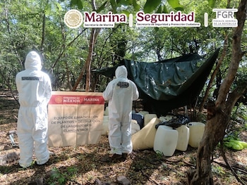 Restan poder al narco en Sinaloa: autoridades desmantelan un narcolaboratorio en Culiacán. Marina