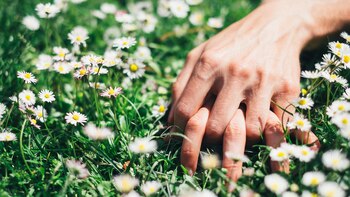 El poder del olfato en