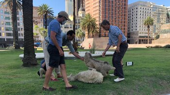 Productores rurales en Uruguay se