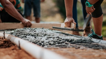 Las conchas marinas podrían sustituir