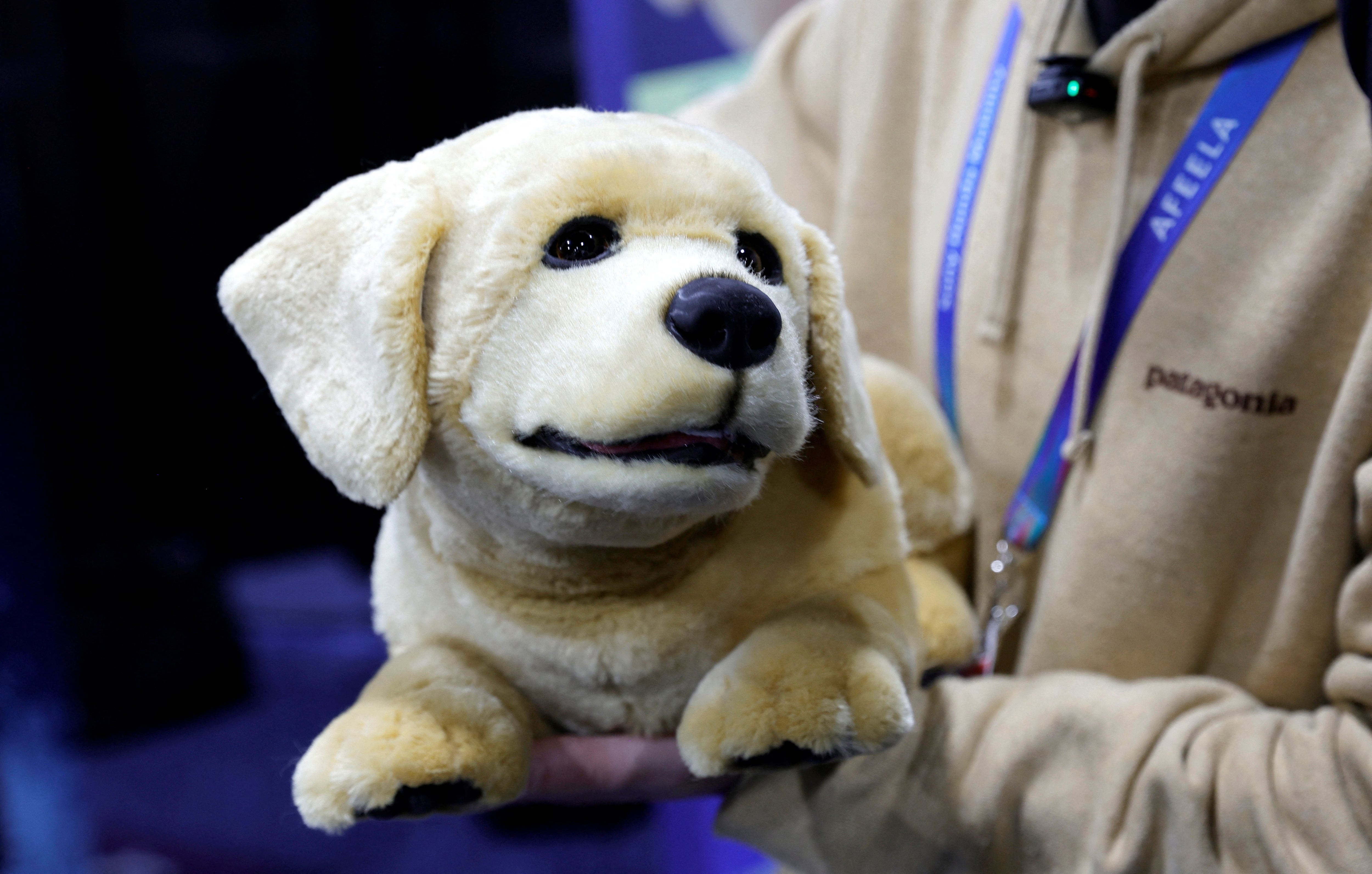 Bebés y mascotas robots, la tendencia que está impulsando la IA entre  chicos y grandes - Infobae