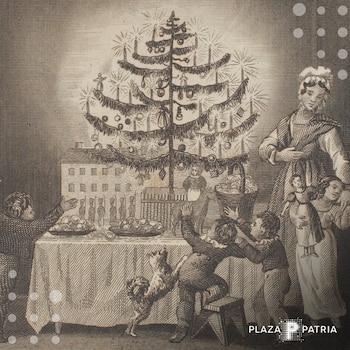 Árbol de Navidad iluminado, reflejo