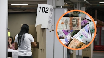 Revelan las millonarias incautaciones por