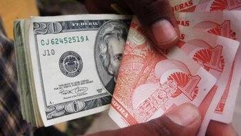 Remesas, informalidad y migración irregular: el círculo que atrapa a Centroamérica y las propuestas para romperlo