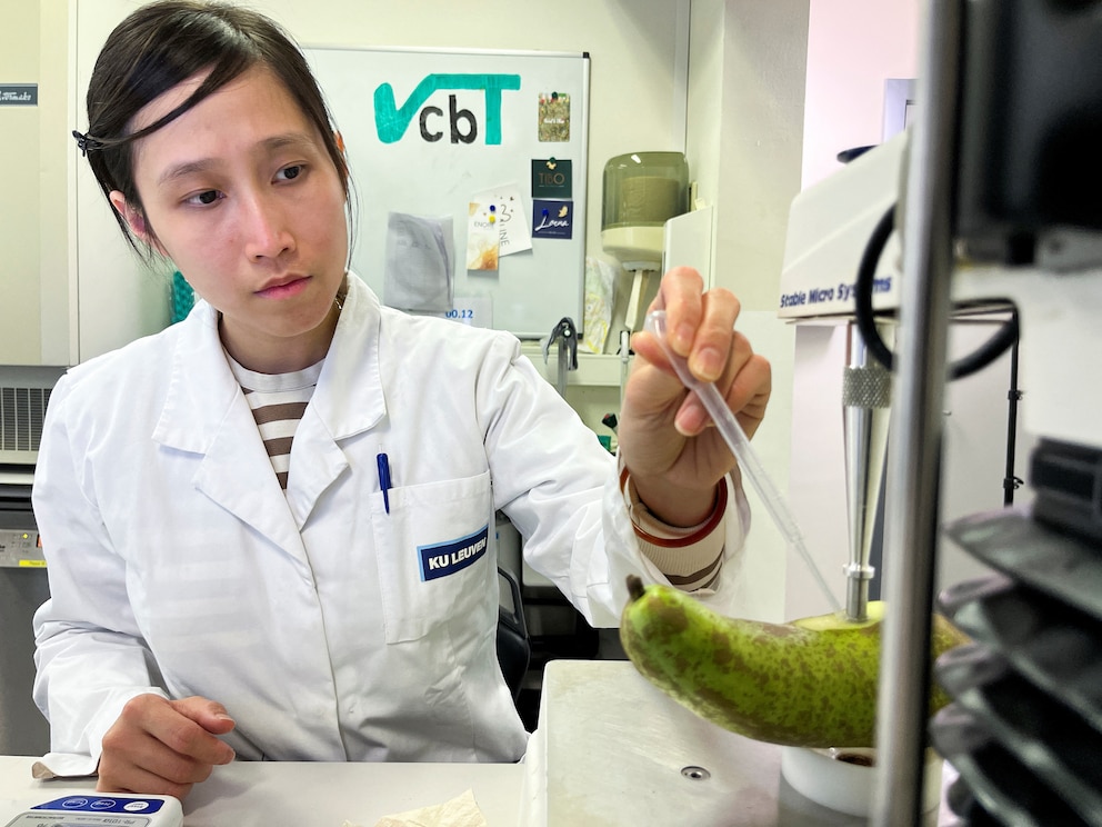 Peras: un experimento para enfrentar el cambio climático en Europa