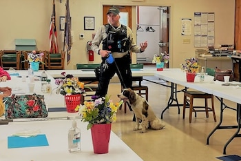 Hombre con uniforme táctico y gorra de seguridad sujeta un perro blanco y marrón con correa en un salón con mesas, sillas y banderas