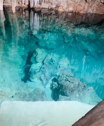 Usuarios reaccionaron con humor y