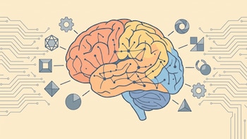Cómo cambia el cerebro cuando aprende a reconocer objetos nuevos, según el MIT