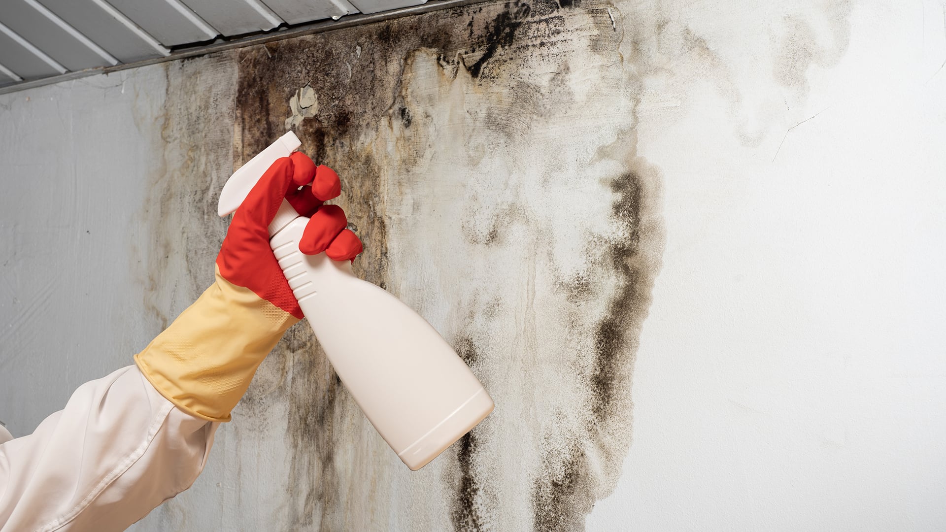 La detección temprana de manchas y olor a humedad es esencial para prevenir daños estructurales y problemas de salud derivados del moho en el hogar (Freepik)