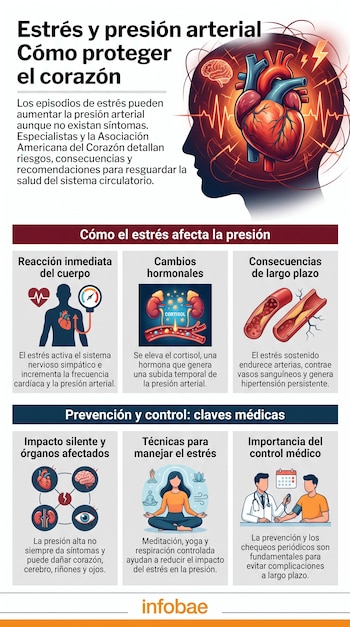Infografía sobre estrés y presión arterial. Muestra silueta de cabeza humana, cerebro, corazón, vasos sanguíneos, riñón, ojo, monitor de presión y doctor.