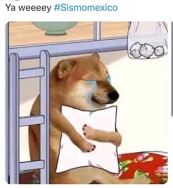 memes sismo 3 de marzo